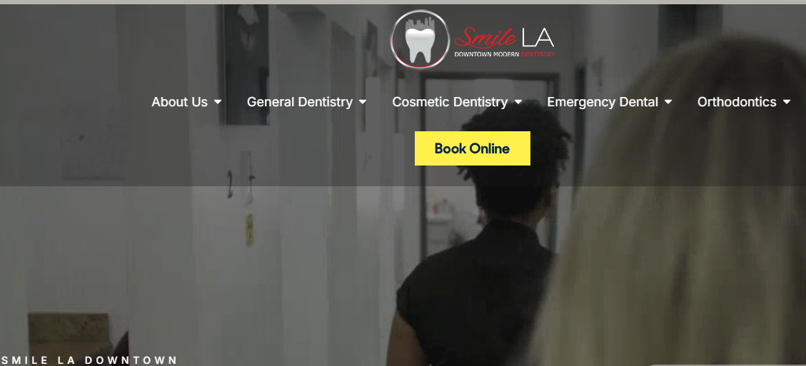 The Los Angeles SEO Company Project - SEO-diensten