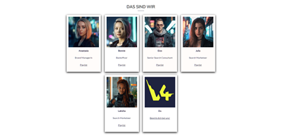 V4 Visioins GmbH - Search Marketing für Visionäre Team