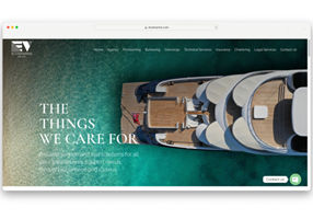 Pineapple Digital Agency Project - Elvamarine, website design & ontwikkeling, branding
