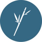 Bamboo Consulting