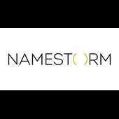 Namestorm Logo