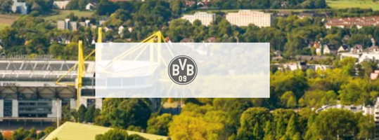 The Reach Group GmbH Project - Echte liefde: performante affiliate marketing