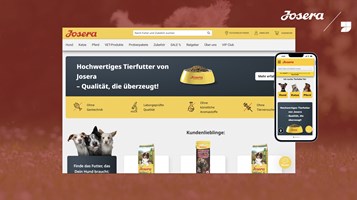 7thSENSE GmbH Project - Begeleiding voor e-commerce