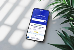 djumla GmbH Project - Website