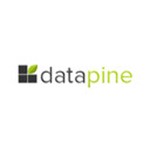 datapine Logo