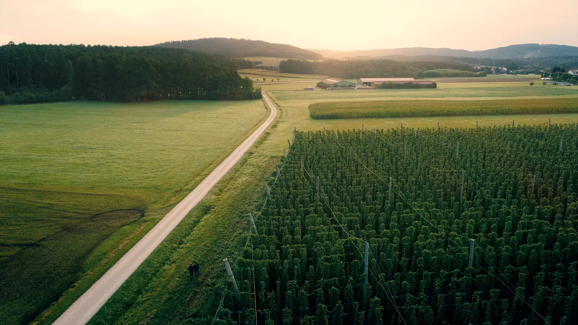 lichtschreiber Project - 100% bio - 0% compromis