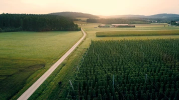 lichtschreiber Project - 100% bio - 0% compromis