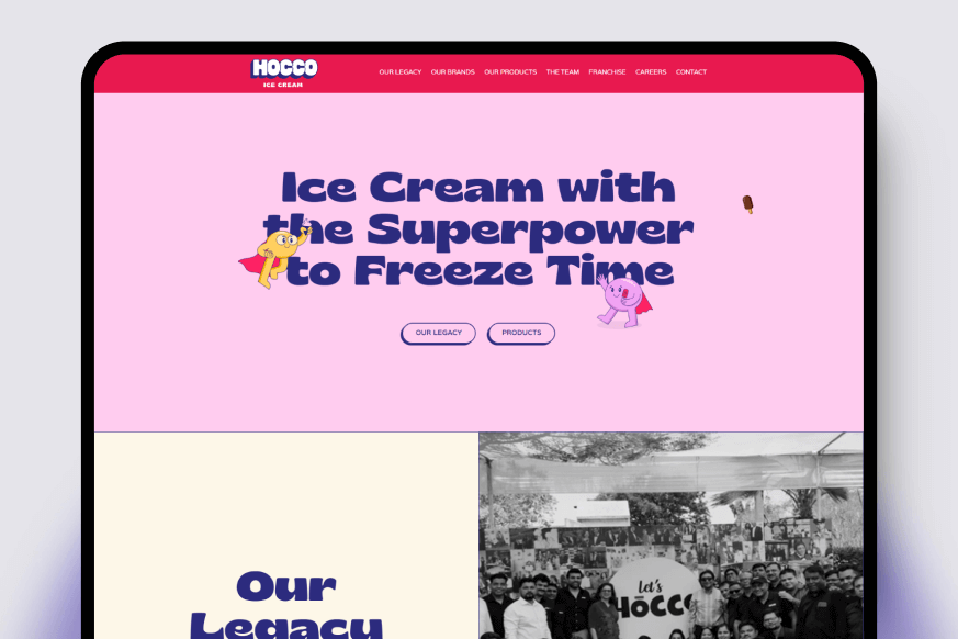 Elsner Technologies Pvt. Ltd. Project - Hocco