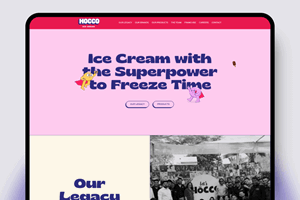 Elsner Technologies Pvt. Ltd. Project - Hocco