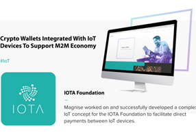 Magnise Project - Directe betalingen tussen IoT-apparaten