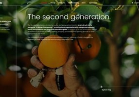 Kormoan Pvt Ltd Project - Digitale ervaring voor een wereldwijde aanbieder van verse groenten en fruit.