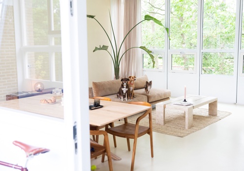 World of Ethics Project - Aangepaste Shopify-winkel