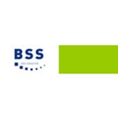 BSS web consulting GmbH Logo