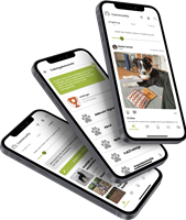 NEON Software Solutions GmbH Project - Hondenuniversiteit