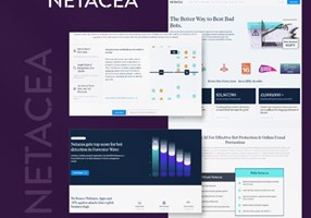 AngleBrackets.io Project - Netacea