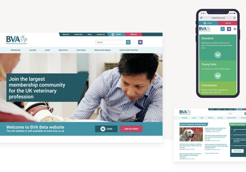UP THERE, EVERYWHERE Project - De website van een vooraanstaande non-profitorganisatie transformeren